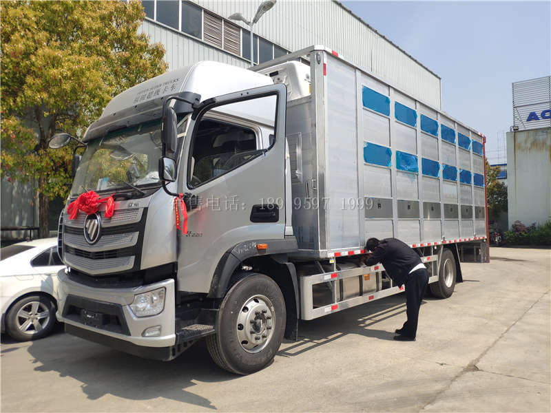 国六福田铝合金拉猪运输车