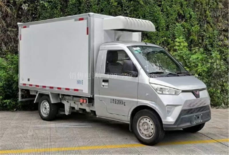 新款面包五菱新能源纯电动冷藏车价格