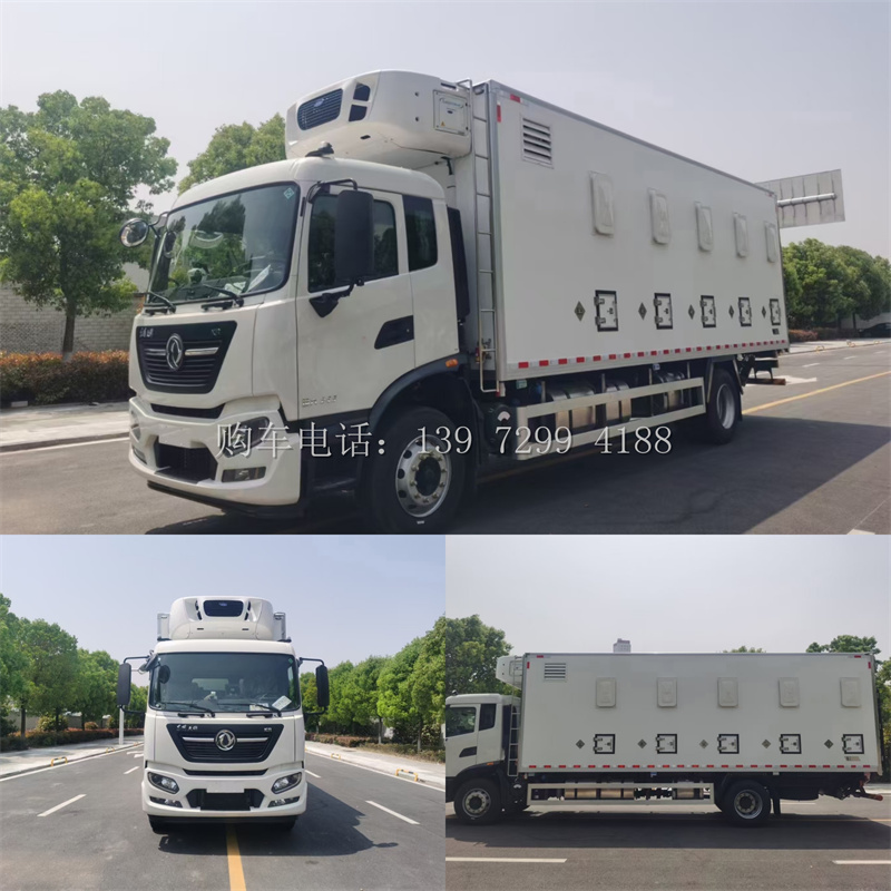 出口6米8东风天锦鸡苗雏禽运输车
